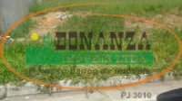 Imagem da propriedade 5