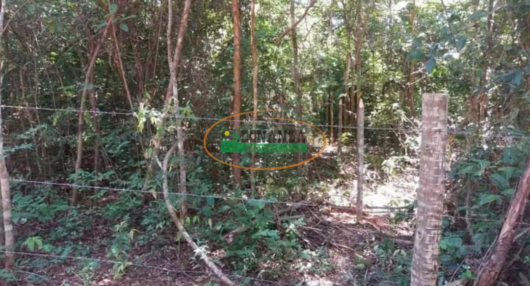 Imagem da propriedade 5