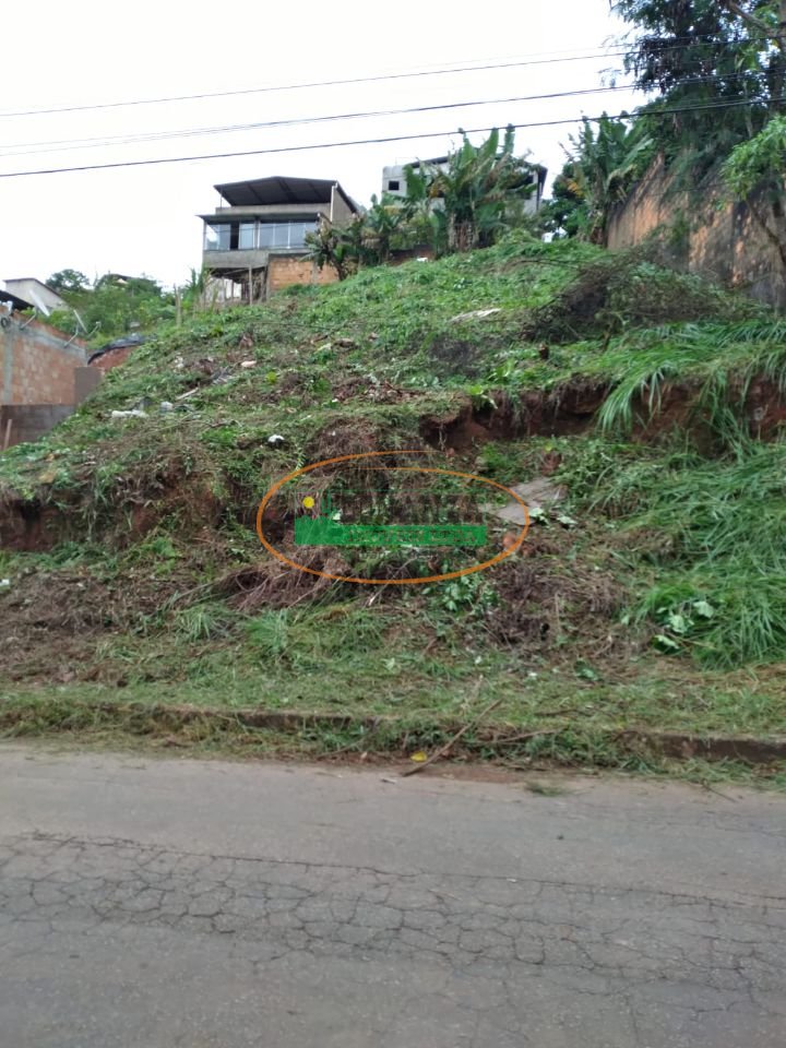 Imagem da propriedade 3