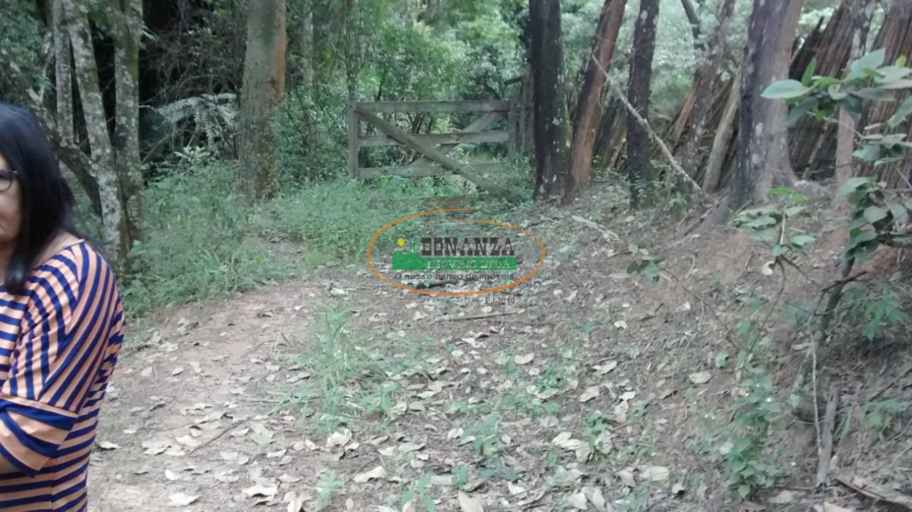 Imagem da propriedade 4
