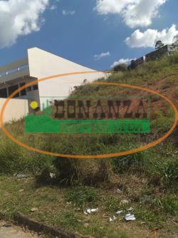 Imagem da propriedade 5