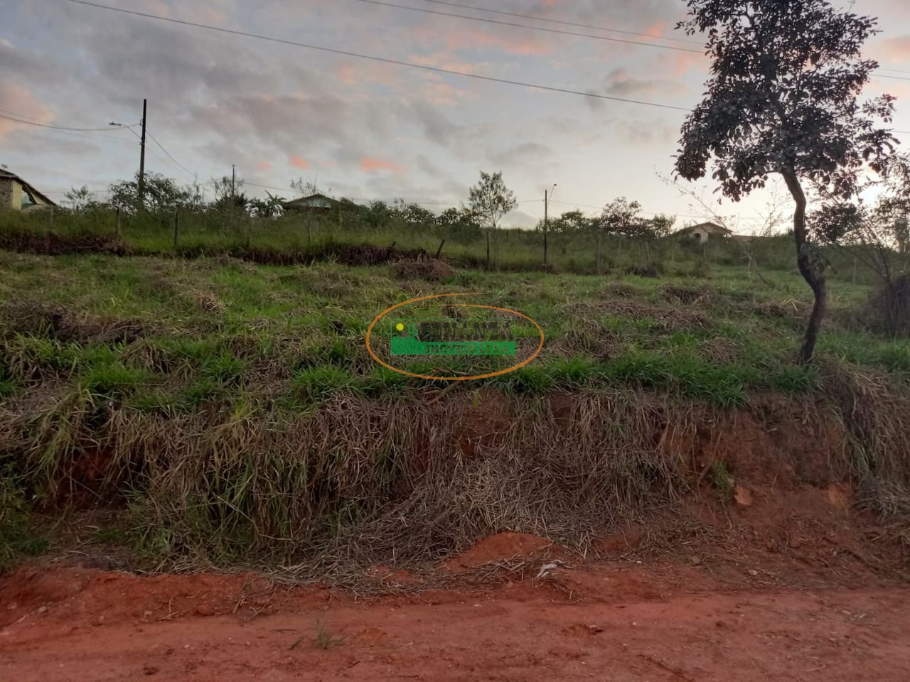 Imagem da propriedade 4