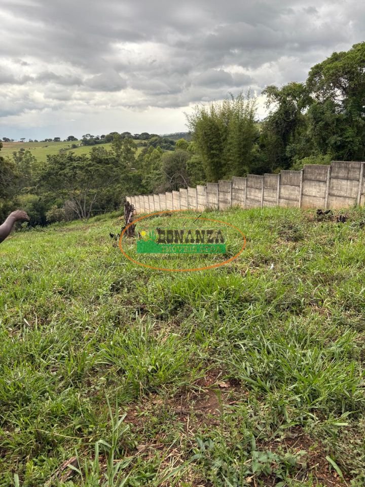Imagem da propriedade 5