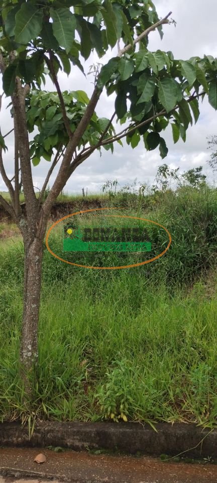 Imagem da propriedade 2