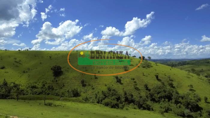 Imagem da propriedade 3