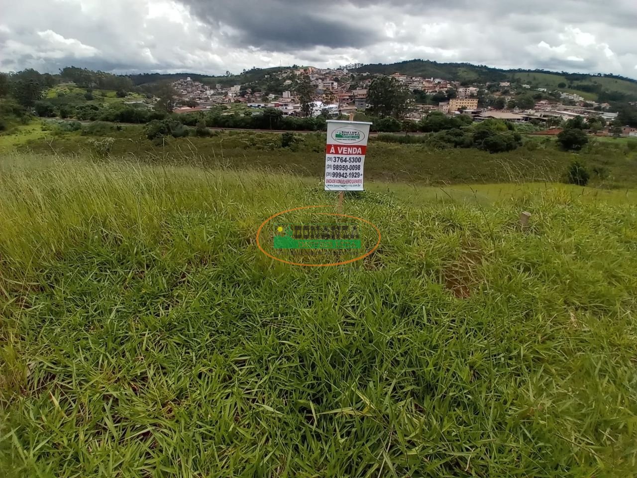 Imagem da propriedade 3