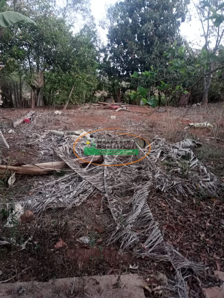Imagem da propriedade 2