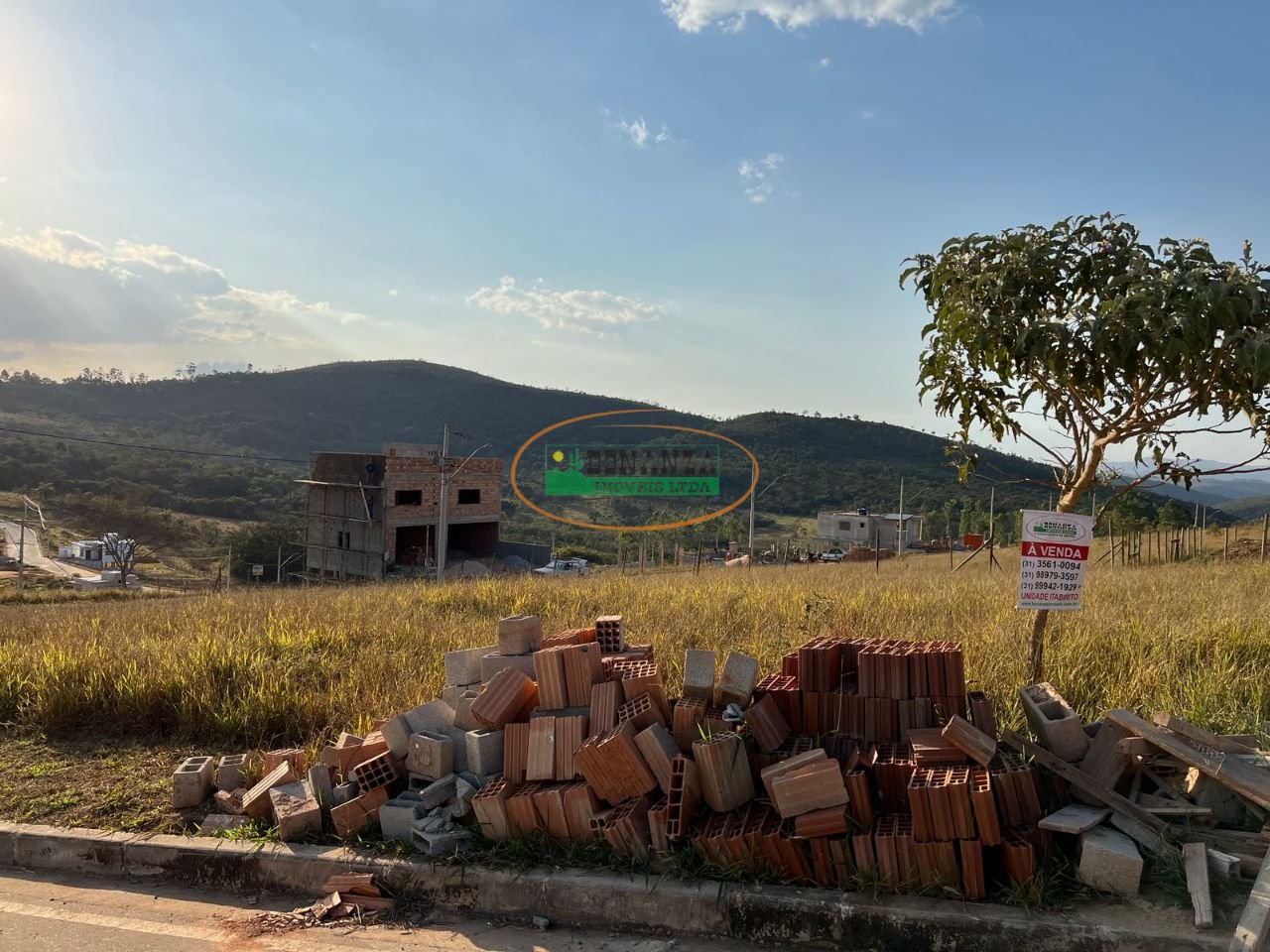 Imagem da propriedade 5