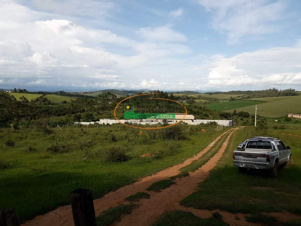Imagem da propriedade 3