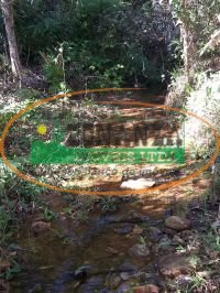 Imagem da propriedade 3