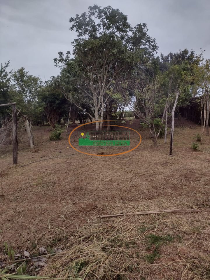 Imagem da propriedade 4