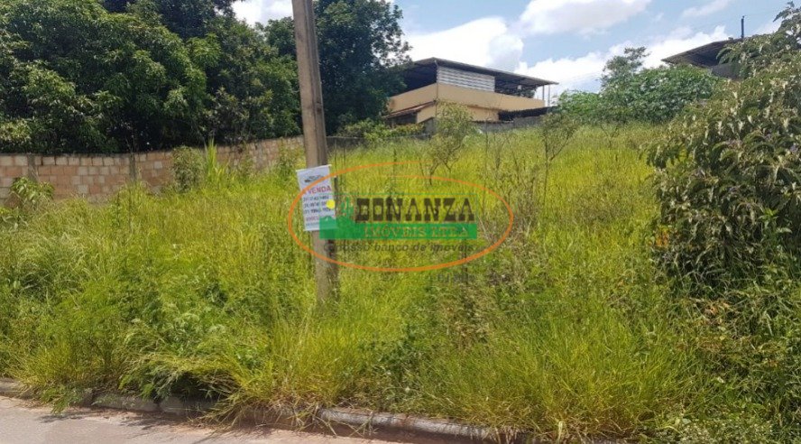 Imagem da propriedade 2