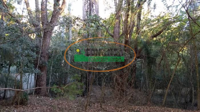 Imagem da propriedade 4