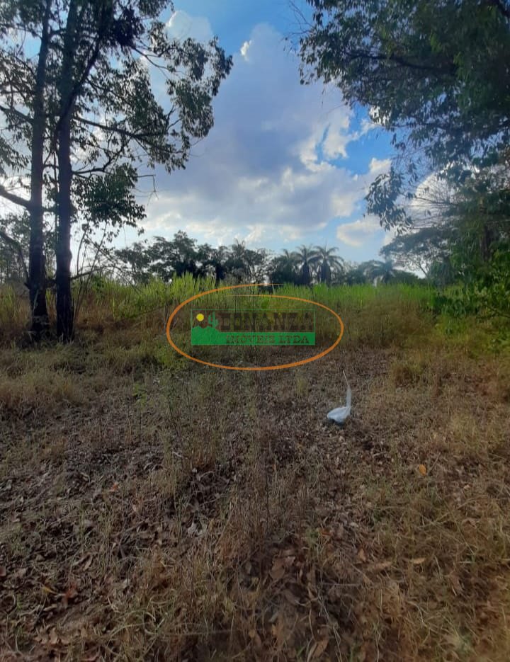 Imagem da propriedade 4