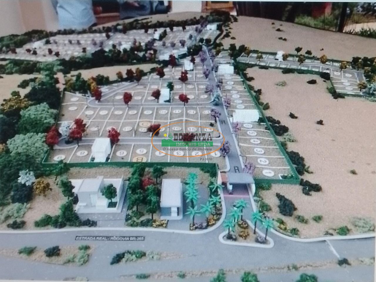Imagem da propriedade 5