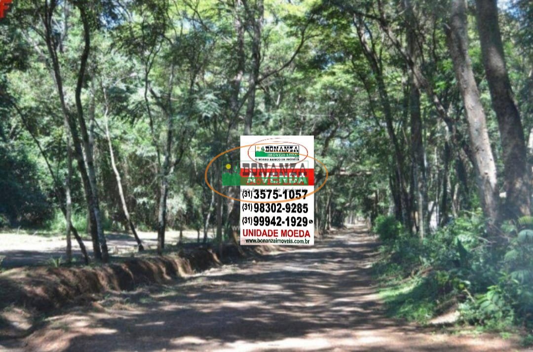 Imagem da propriedade 4