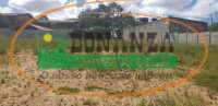 Imagem da propriedade 3