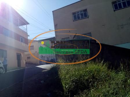 Imagem da propriedade 3