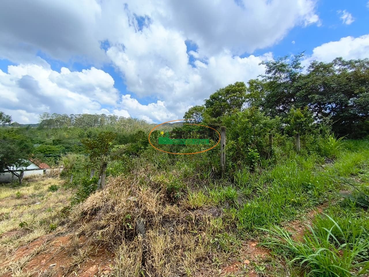 Imagem da propriedade 3