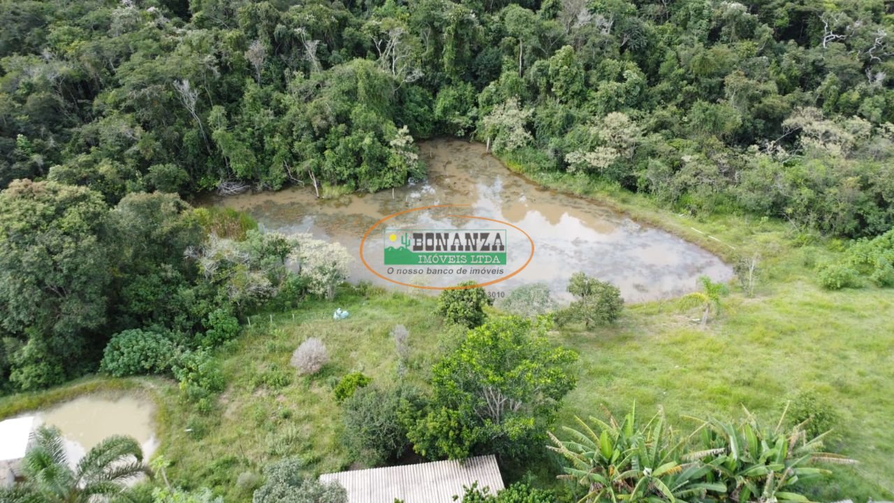 Imagem da propriedade 3