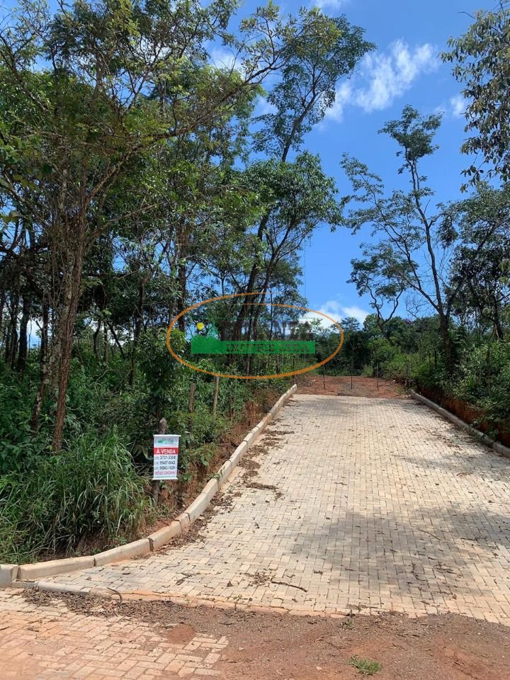 Imagem da propriedade 1