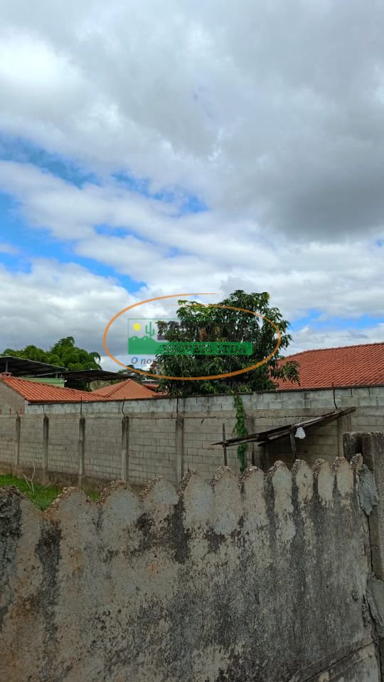 Imagem da propriedade 3