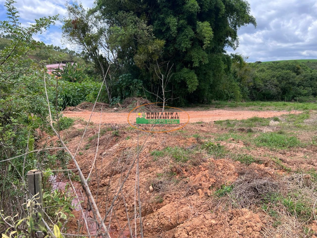 Imagem da propriedade 5