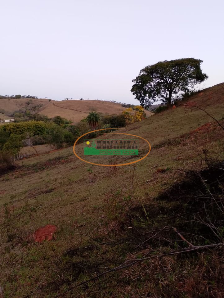 Imagem da propriedade 5