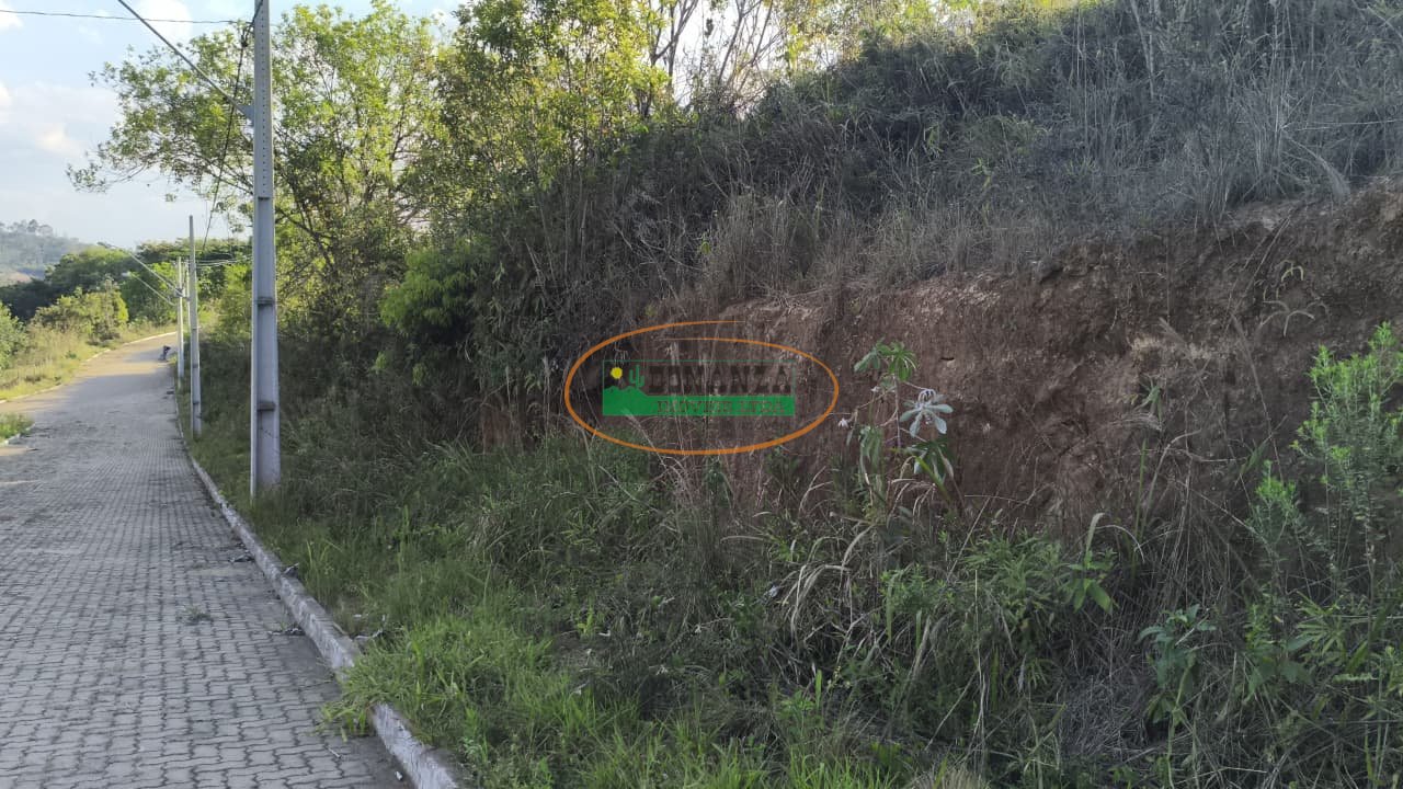 Imagem da propriedade 3