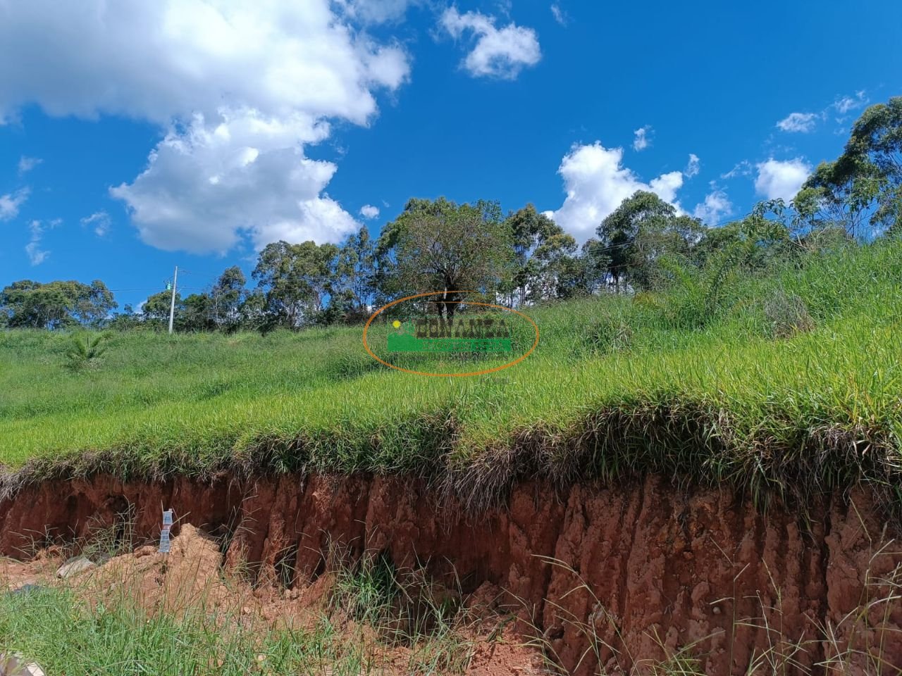 Imagem da propriedade 5