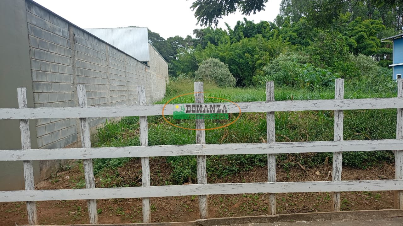 Imagem da propriedade 3