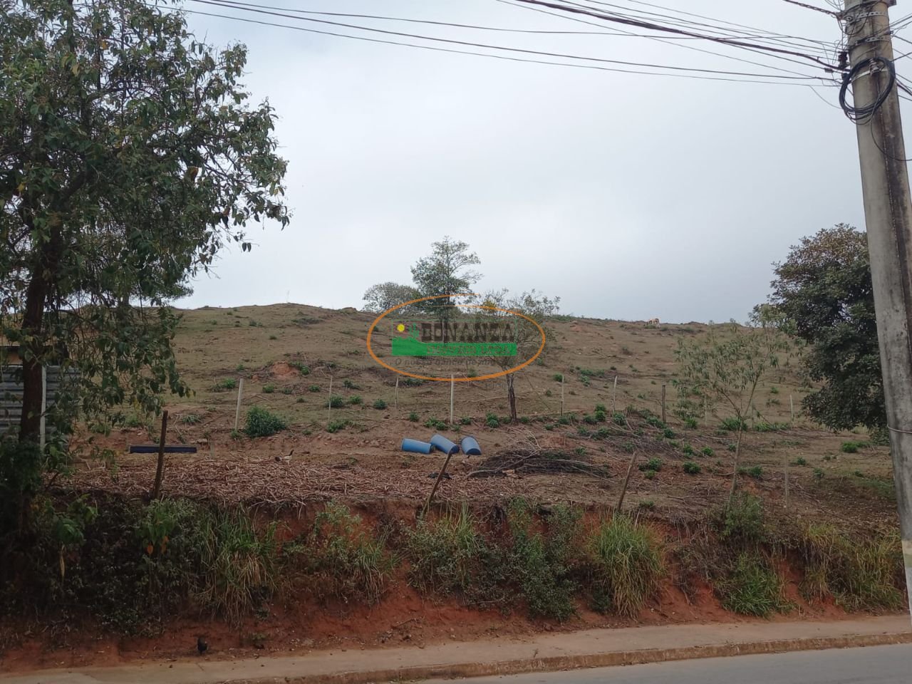 Imagem da propriedade 4