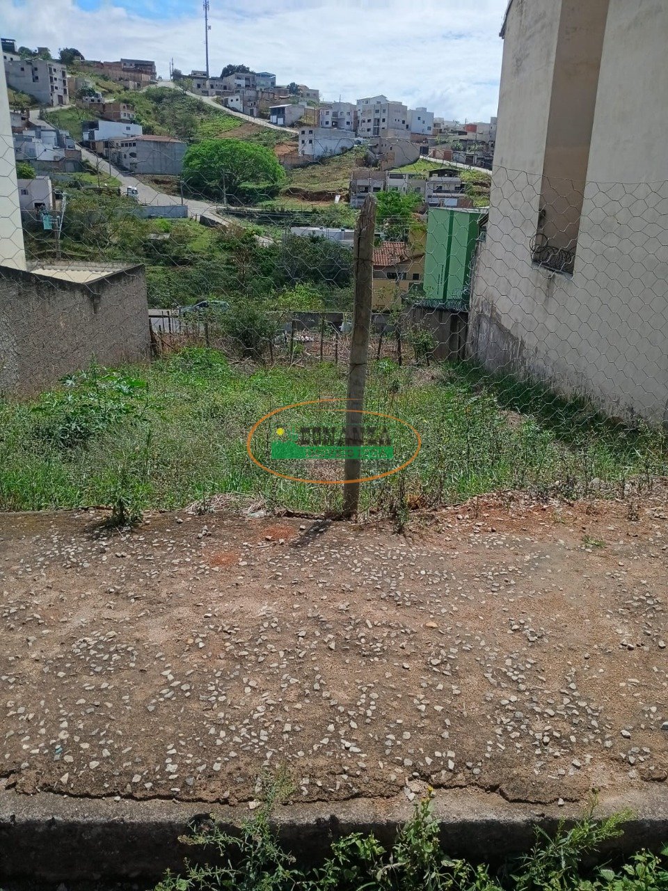 Imagem da propriedade 3