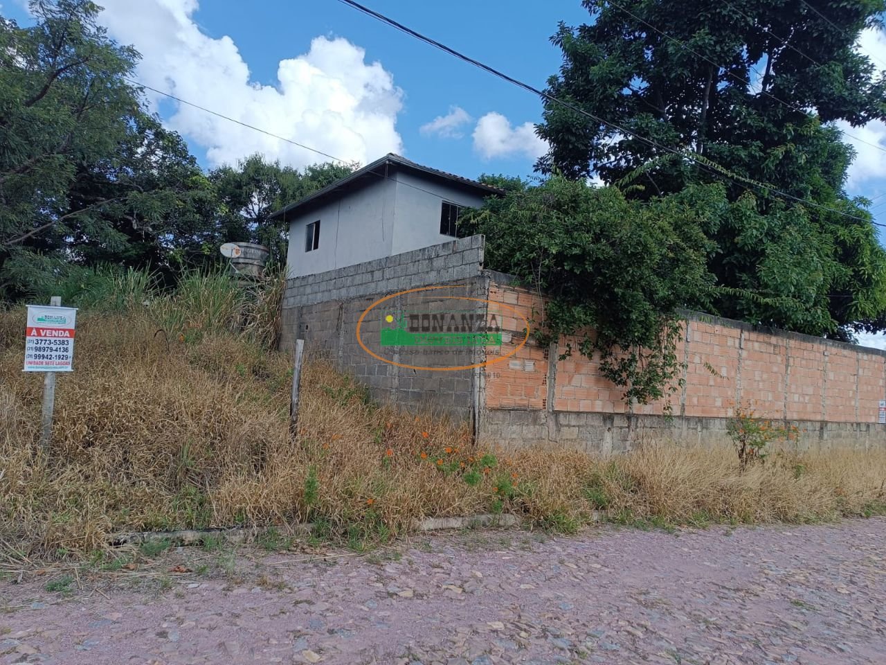 Imagem da propriedade 4
