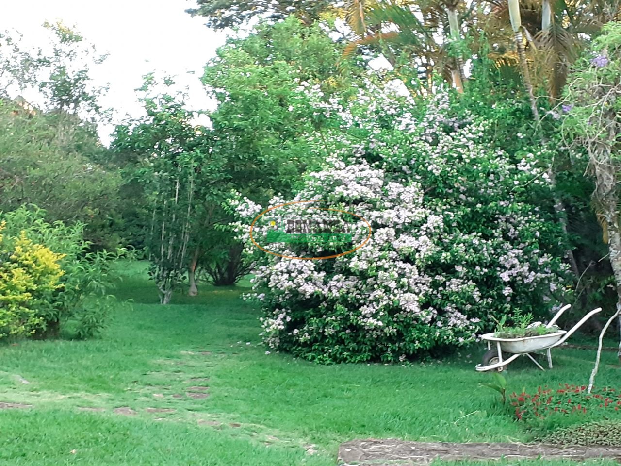 Imagem da propriedade 2