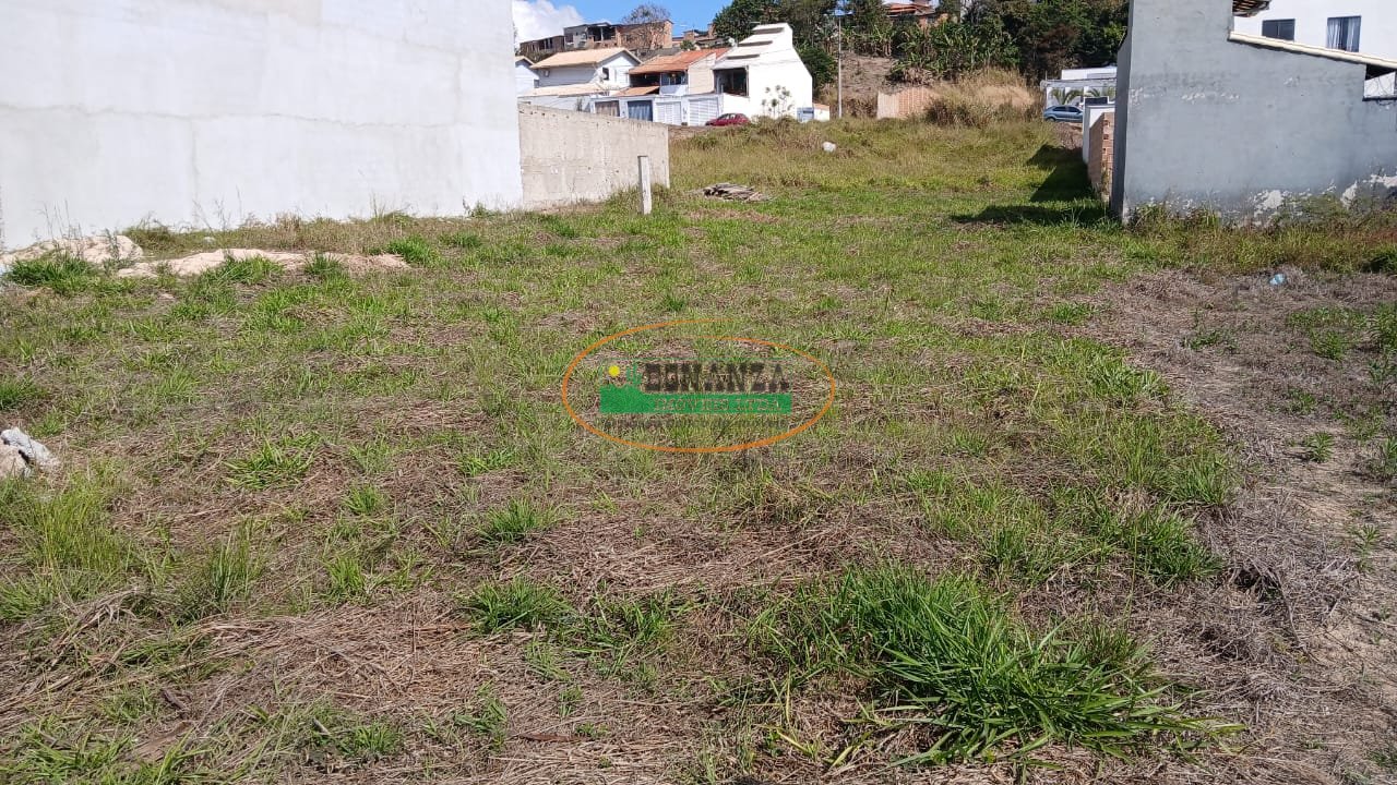 Imagem da propriedade 5
