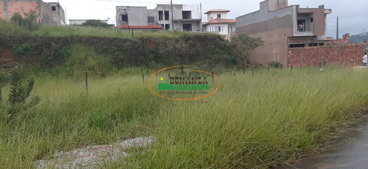 Imagem da propriedade 3