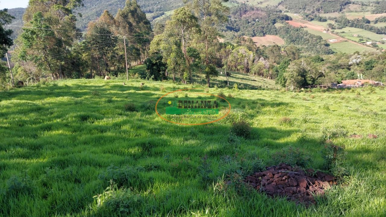 Imagem da propriedade 2