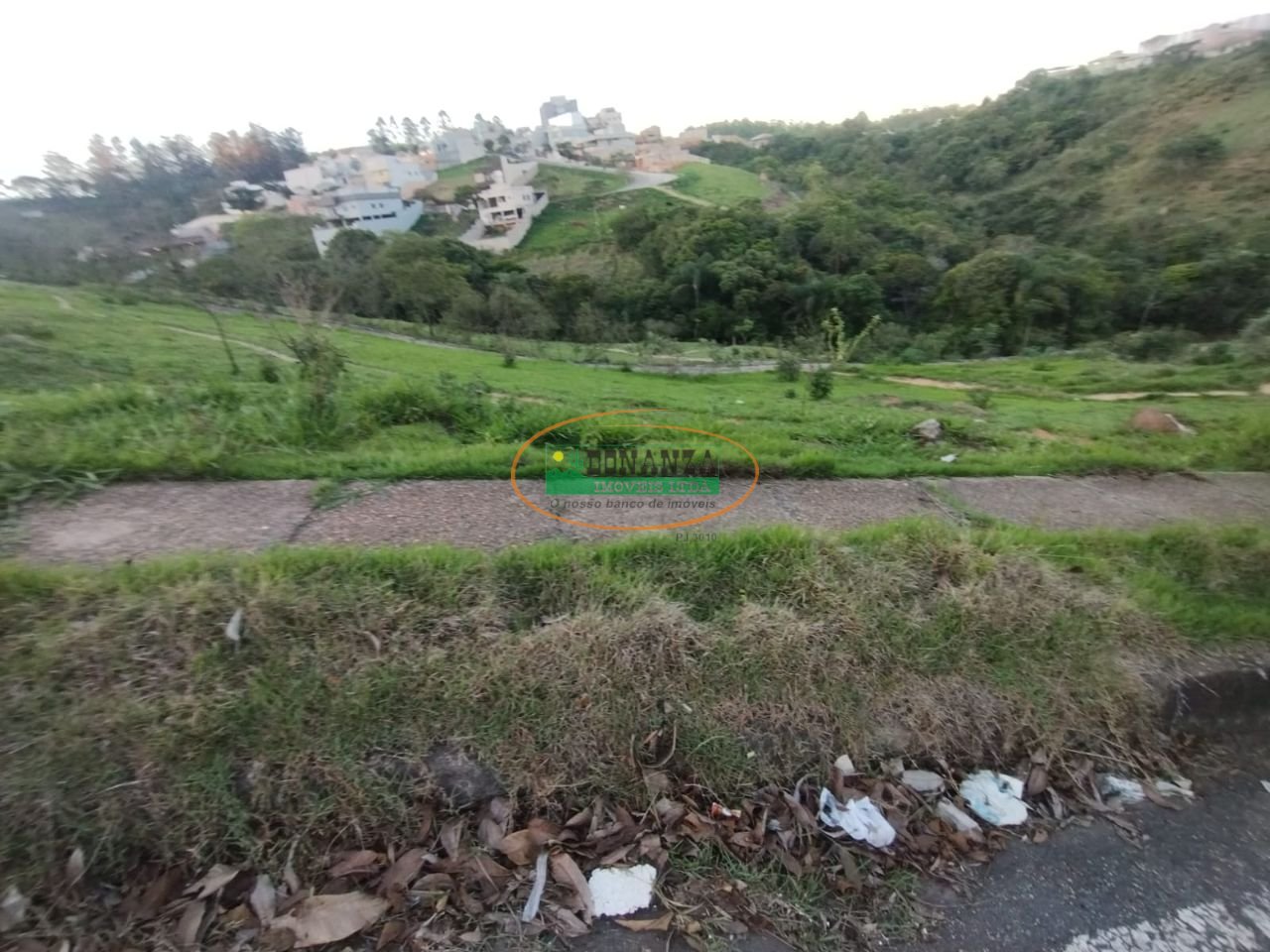Imagem da propriedade 5