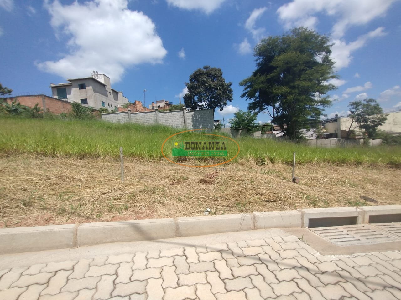 Imagem da propriedade 2