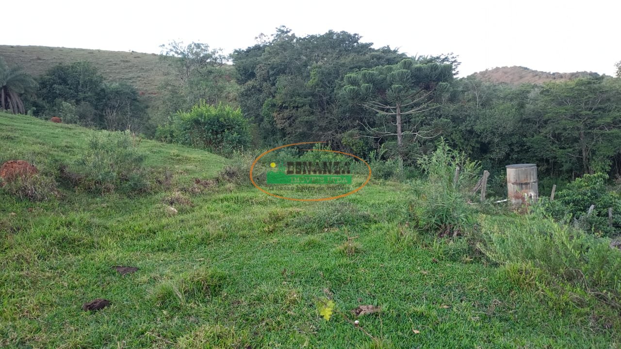 Imagem da propriedade 5