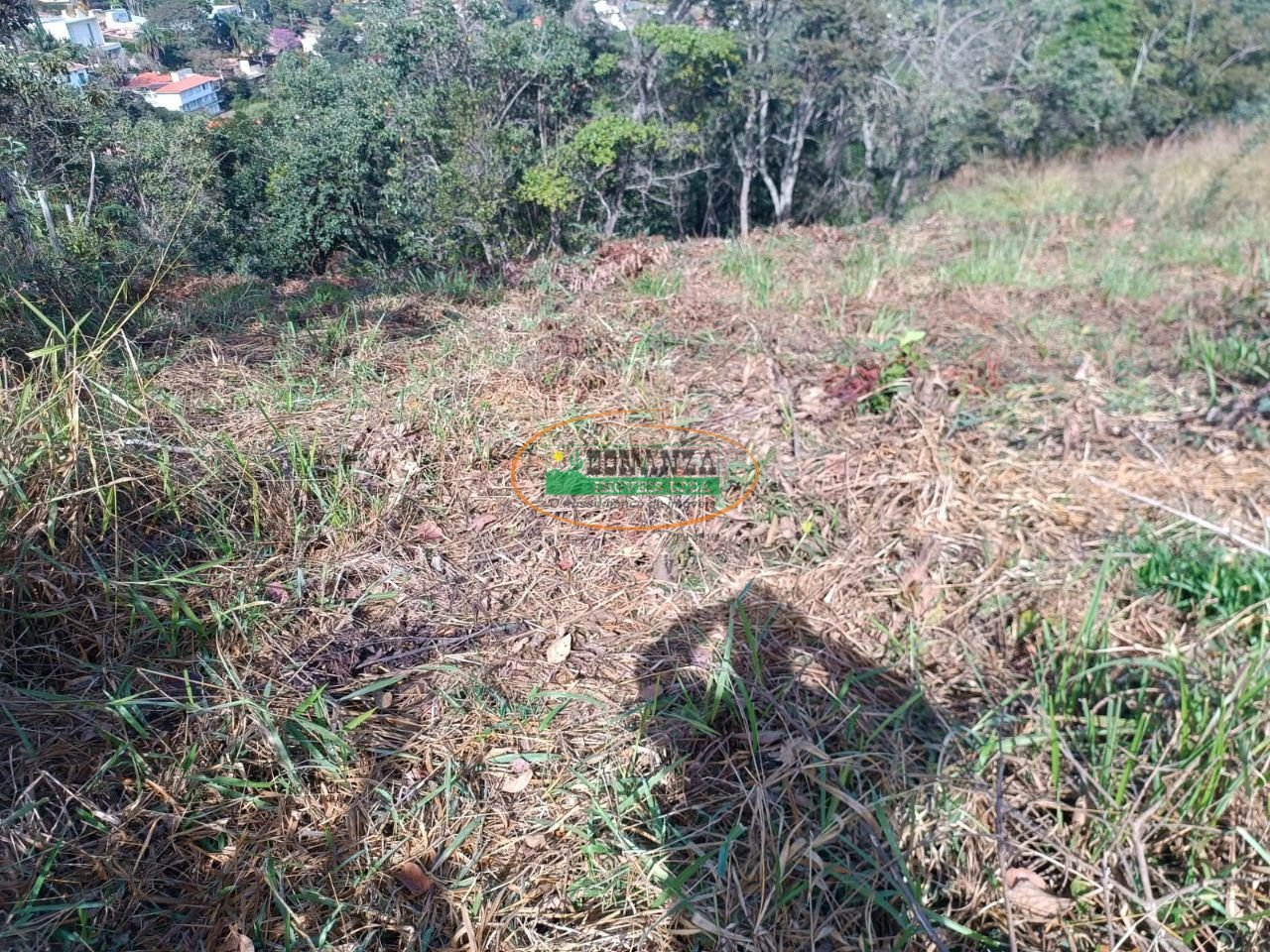 Imagem da propriedade 5