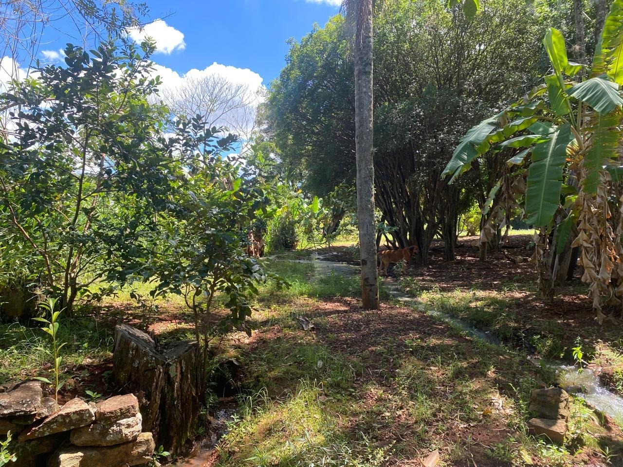 Chácara, 1 quarto - Foto 24