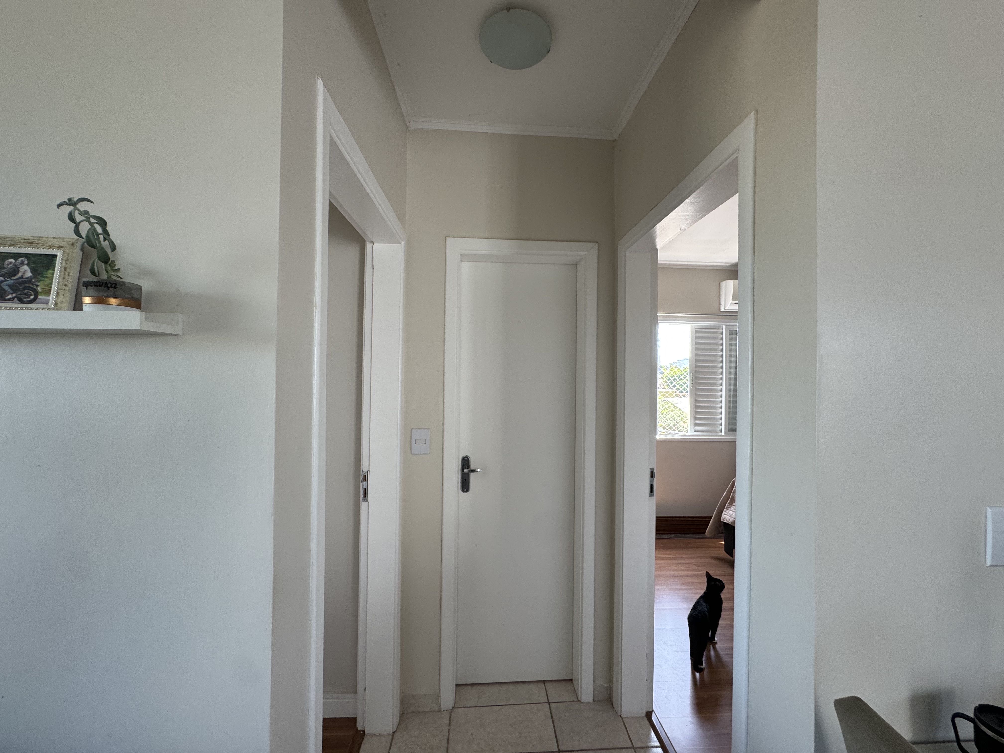 Imagem da propriedade 3