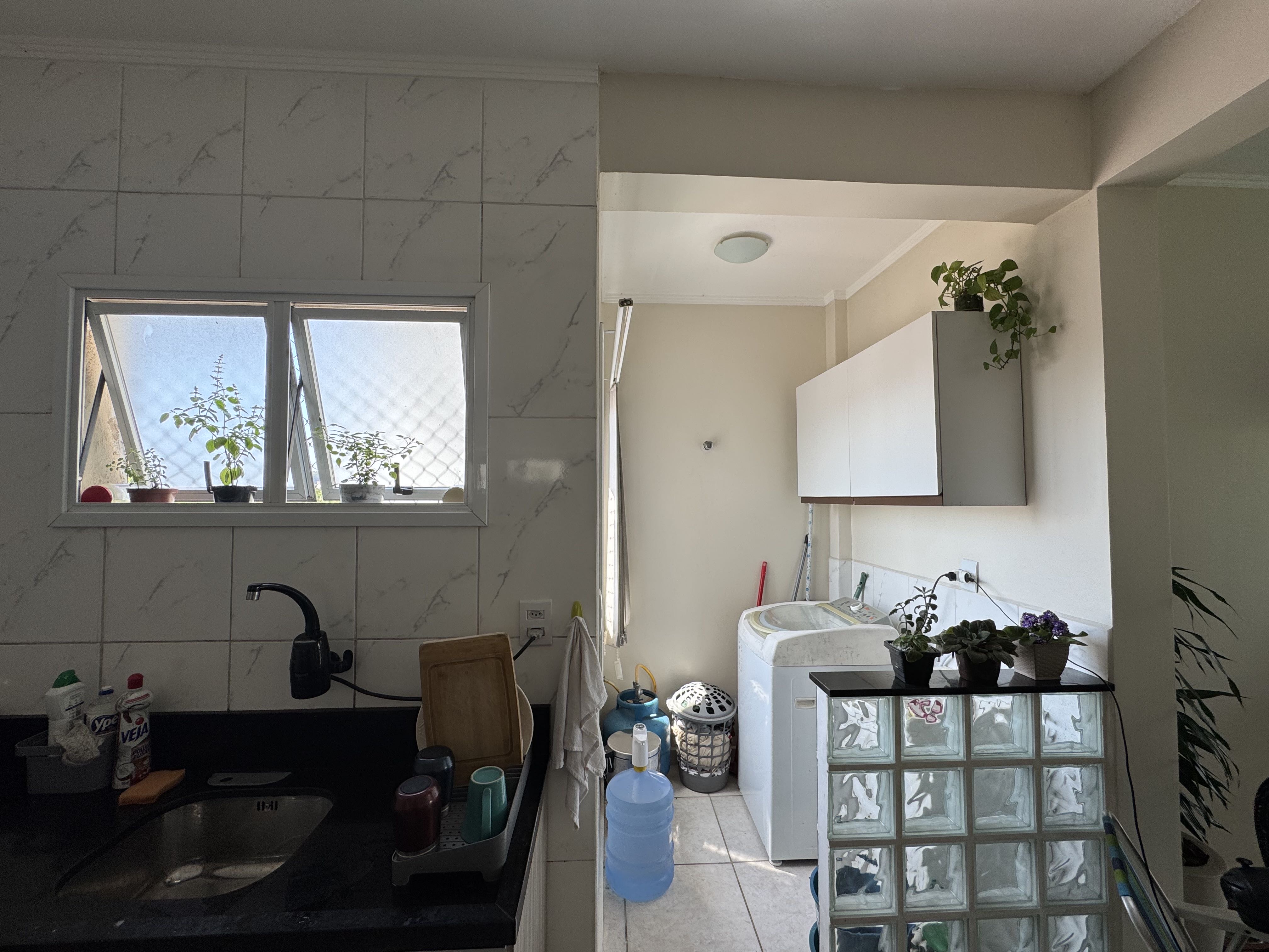 Imagem da propriedade 10