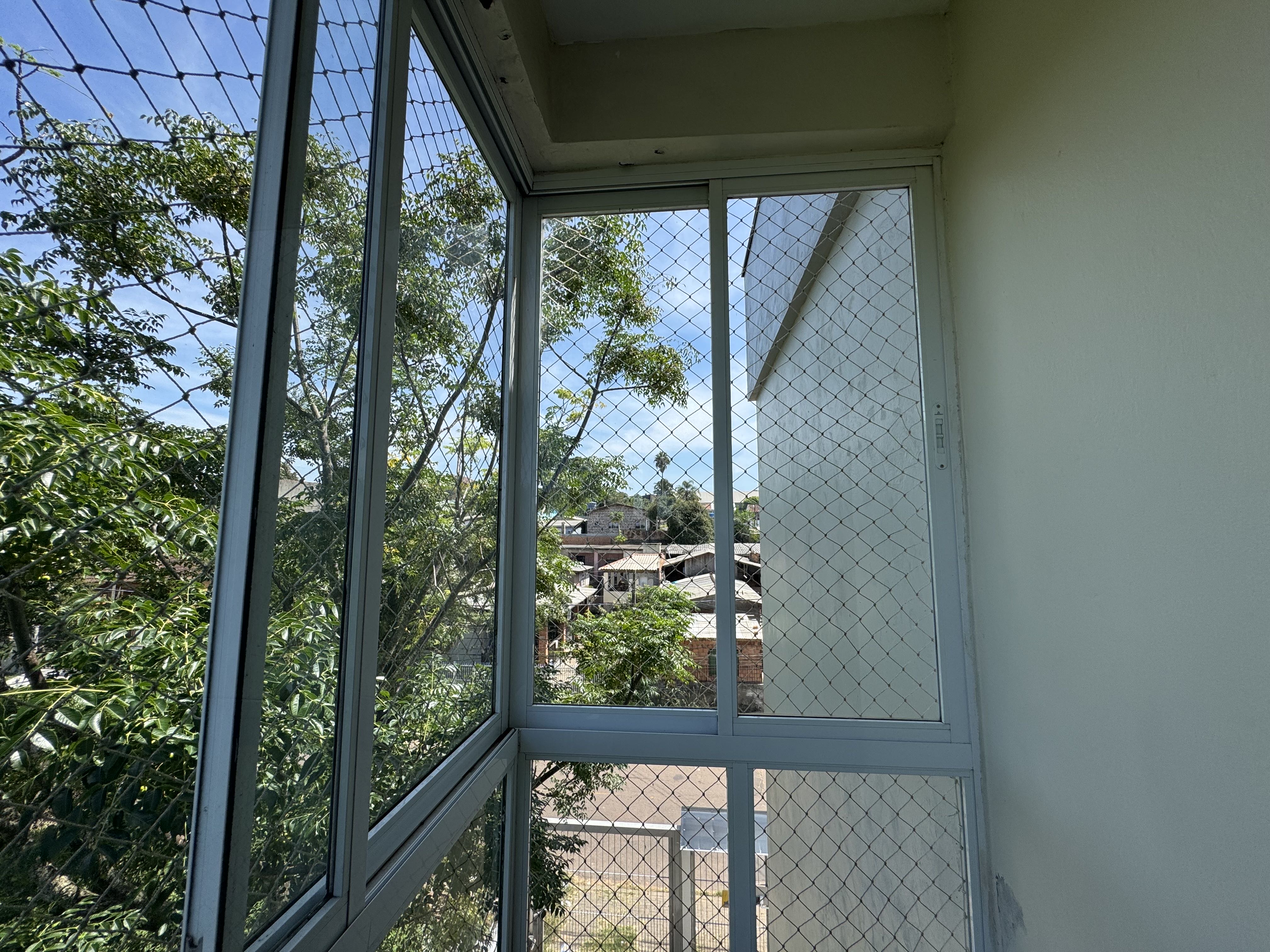 Imagem da propriedade 15