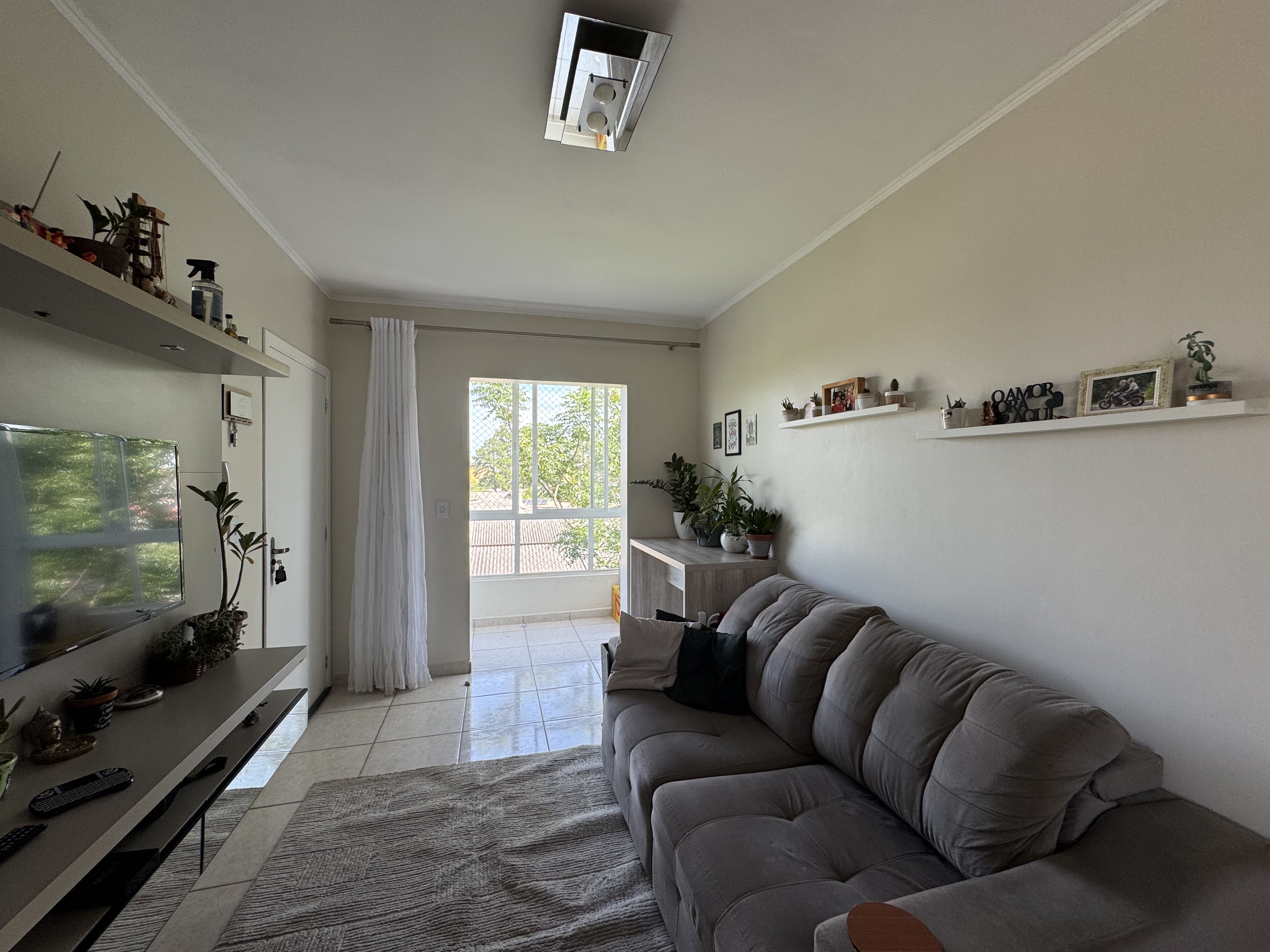 Imagem da propriedade 12