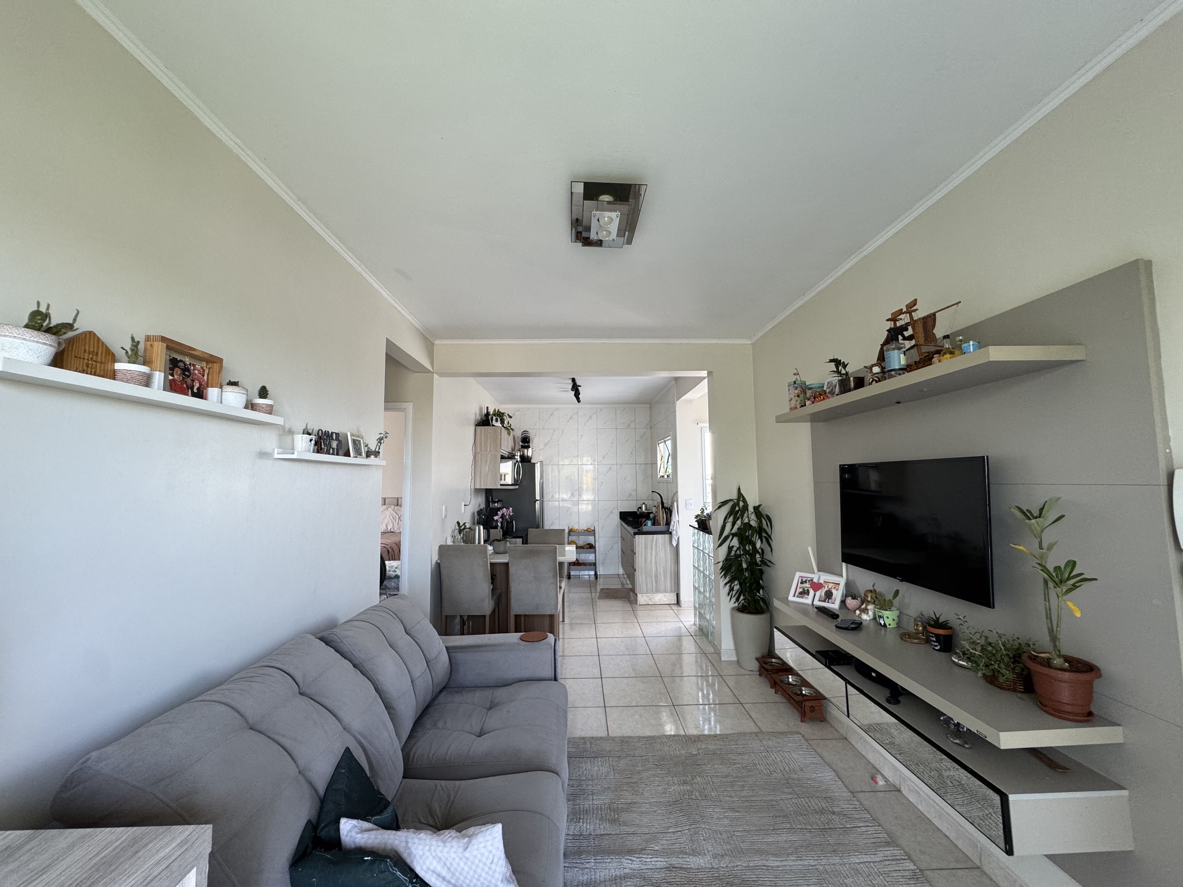 Imagem da propriedade 13