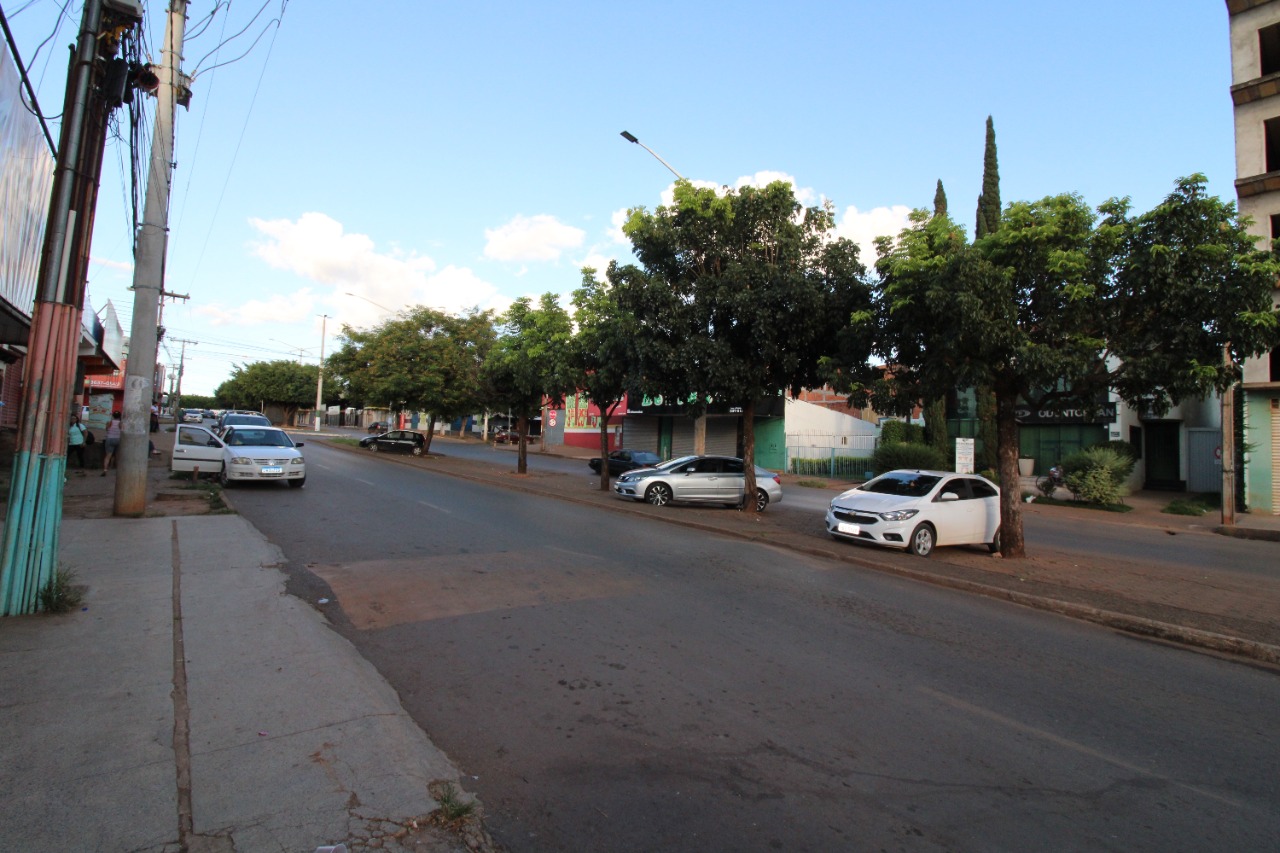 Imagem da propriedade 6