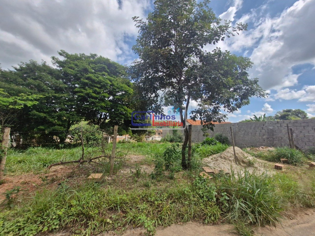 Imagem da propriedade 4